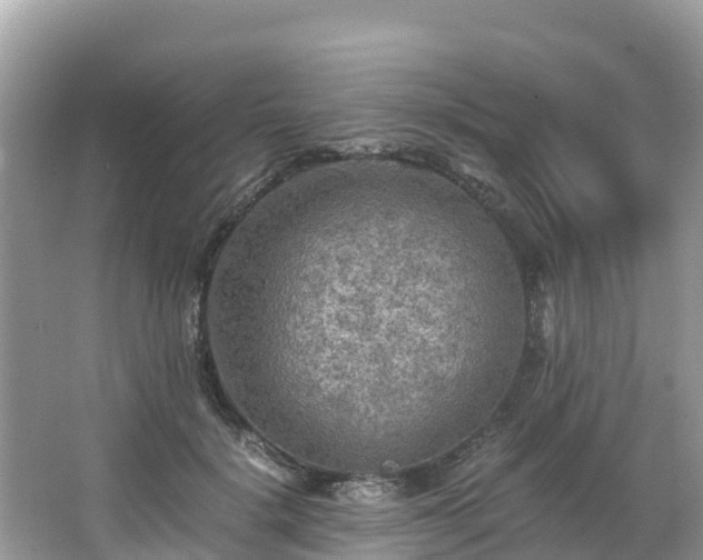 X0000065240652200602211214