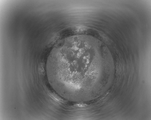 X0000065240654200602211214