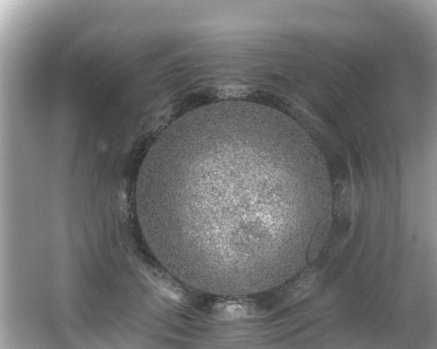 X0000065240655200602211214