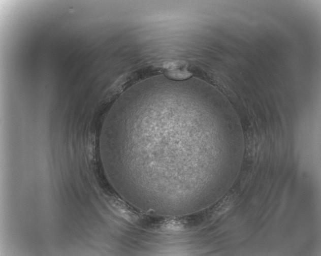 X0000065240656200602211214