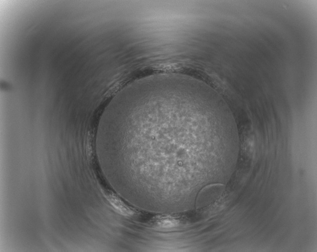 X0000065240658200602211214