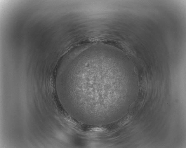 X0000065240659200602211214