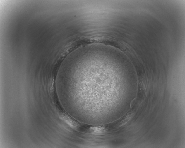 X0000065240660200602211214