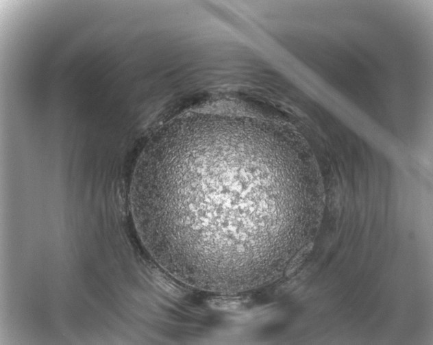 X0000065240661200602211214