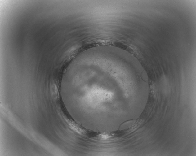 X0000065240662200602211214