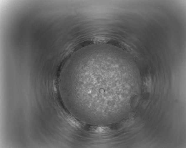 X0000065240663200602211214