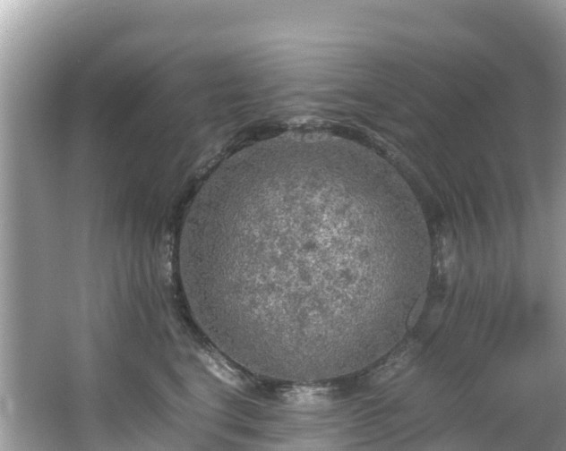 X0000065240664200602211214