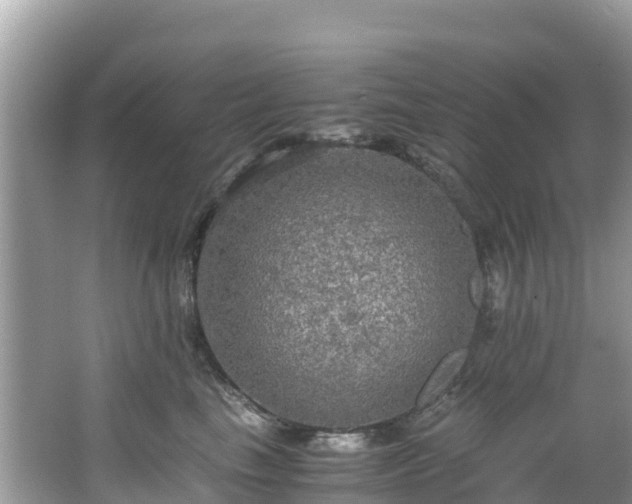 X0000065240665200602211214