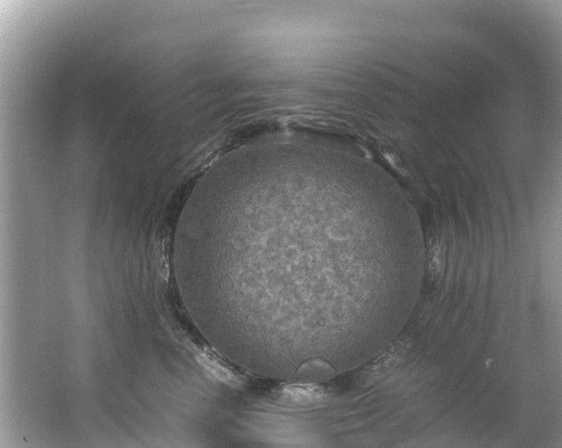 X0000065240666200602211214