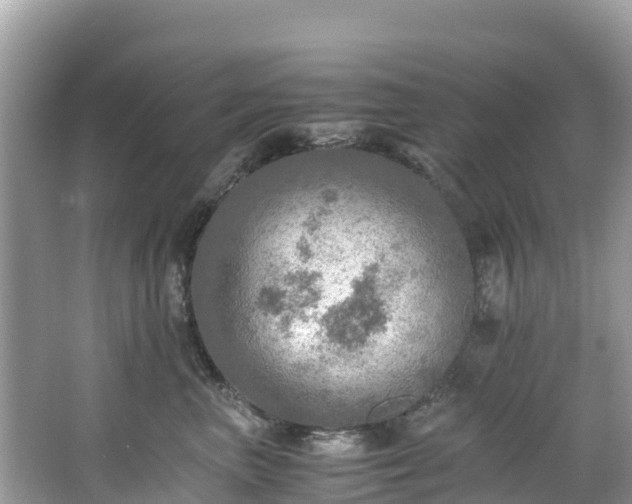 X0000065240667200602211214