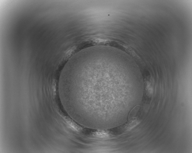 X0000065240668200602211214