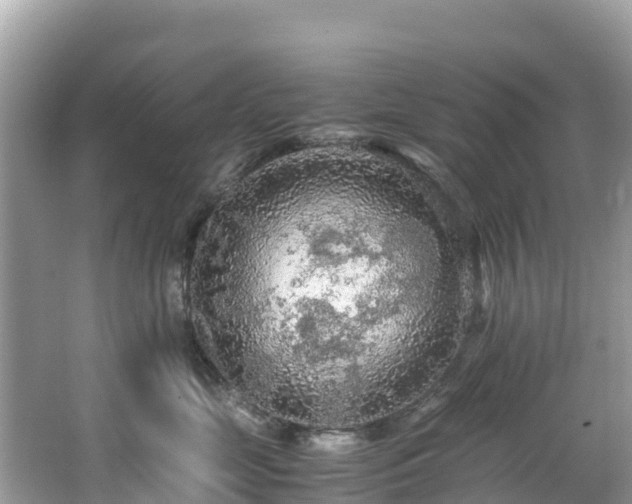 X0000065240669200602211214