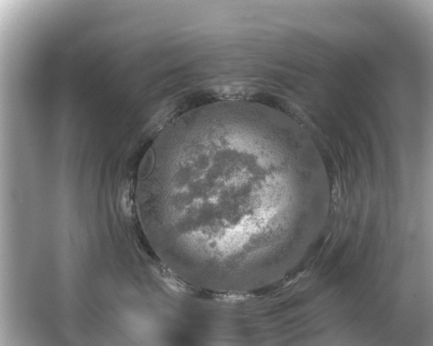 X0000065240671200602211214