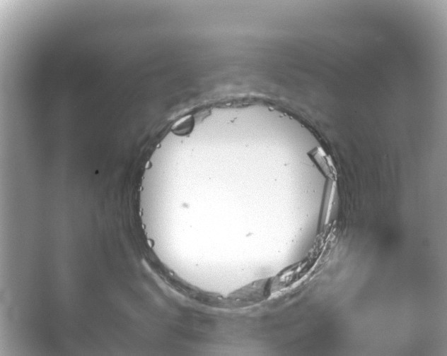 X0000065240672200602211214