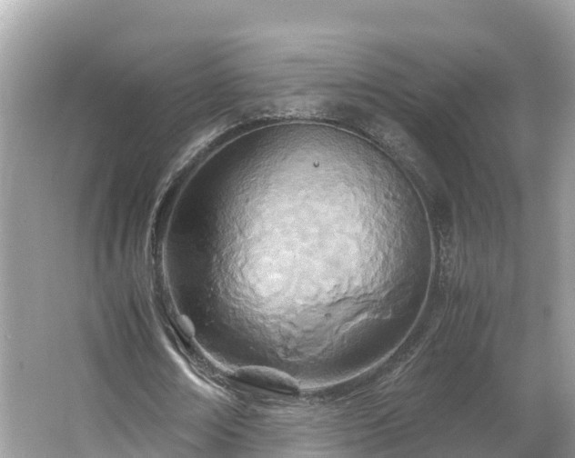 X0000065240674200602211214