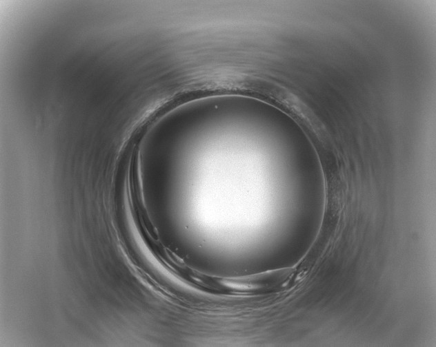 X0000065240677200602211213