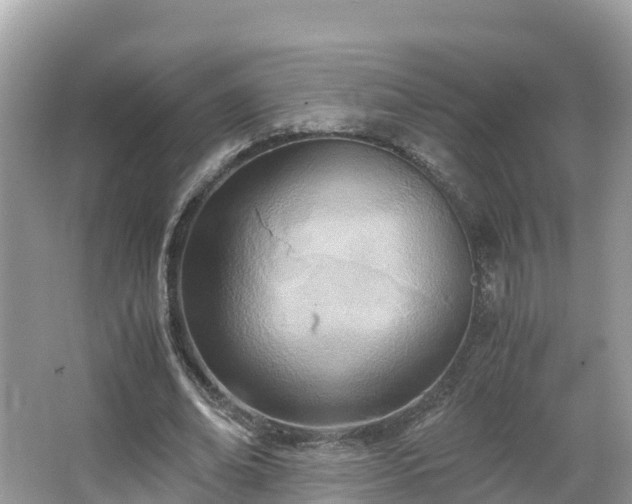 X0000065240678200602211213