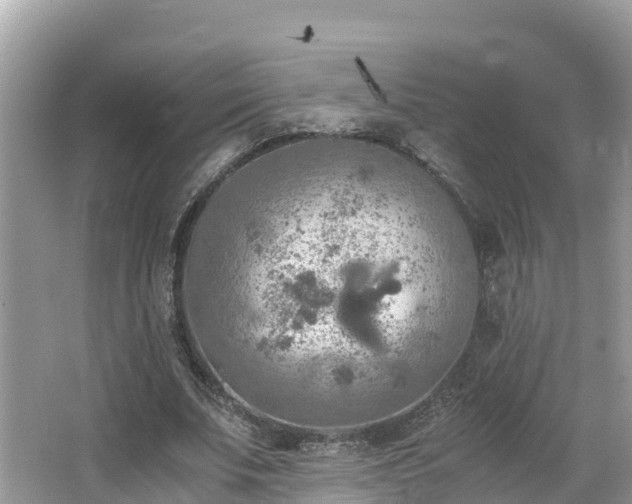 X0000065240679200602211213