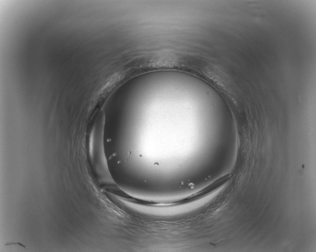 X0000065240681200602211213