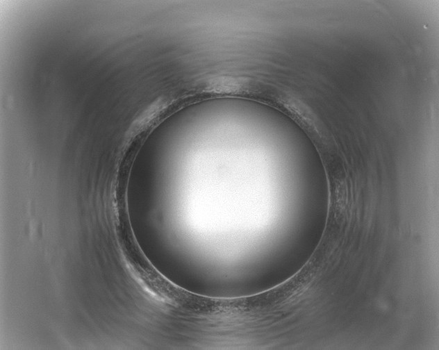 X0000065240682200602211213