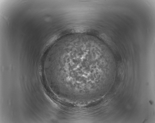 X0000065240683200602211213