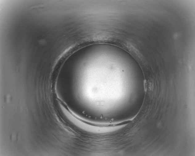 X0000065240684200602211213