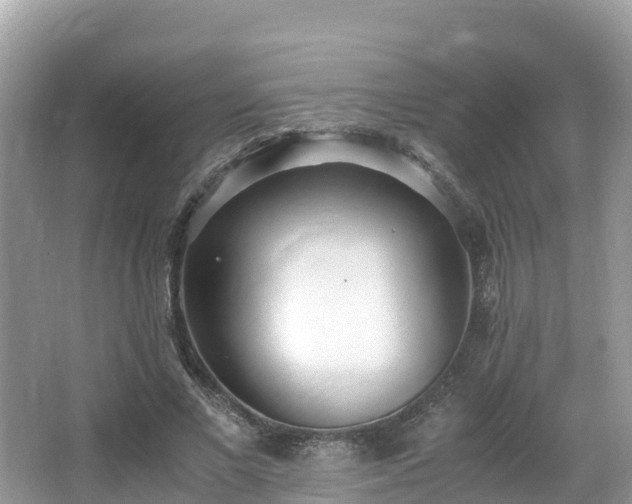 X0000065240685200602211213