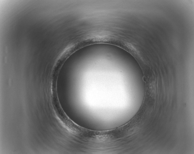 X0000065240686200602211213