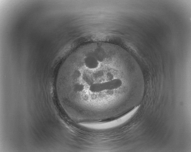 X0000065240687200602211213