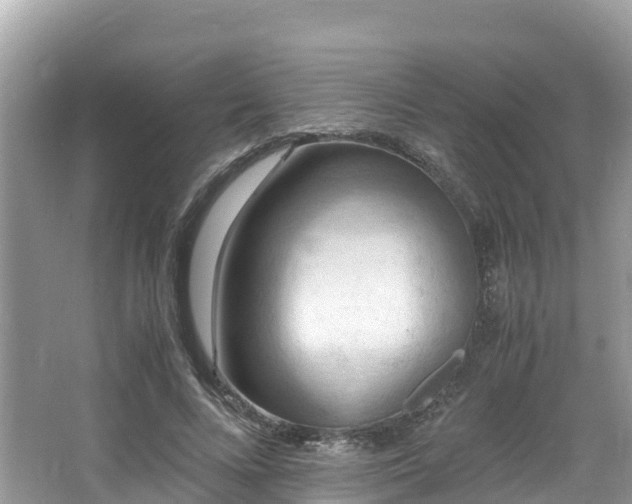 X0000065240688200602211213