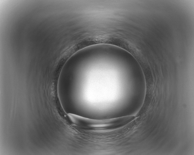 X0000065240689200602211213