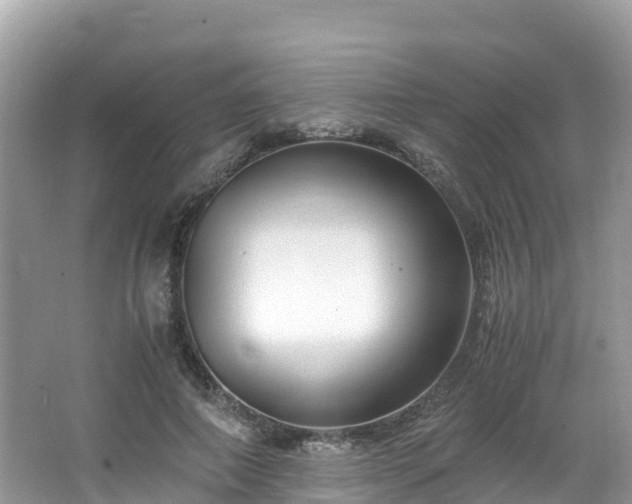 X0000065240690200602211213