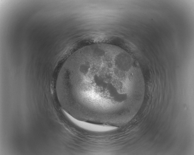 X0000065240691200602211213