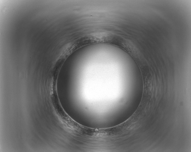 X0000065240694200602211213