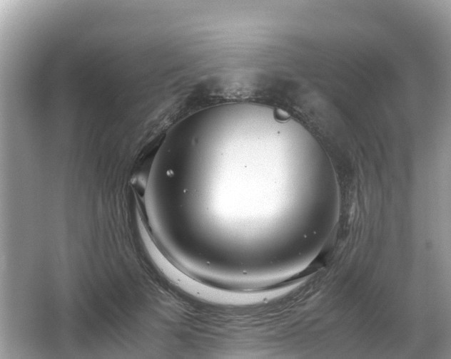 X0000065240697200602211213