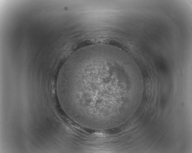 X0000065240699200602211213