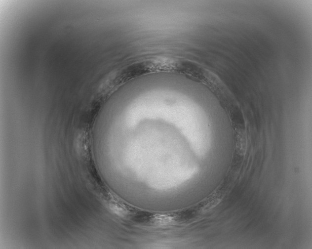 X0000065240701200602211213