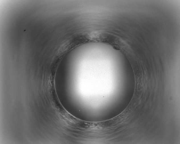 X0000065240702200602211213