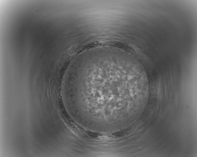 X0000065240703200602211213