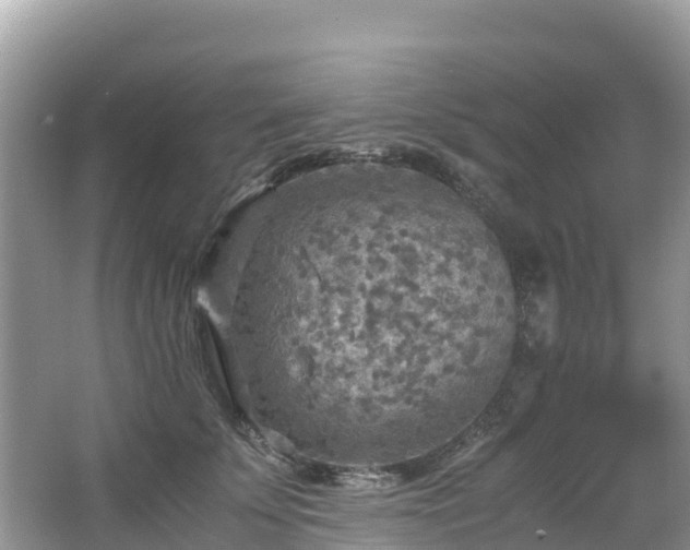 X0000065240707200602211213