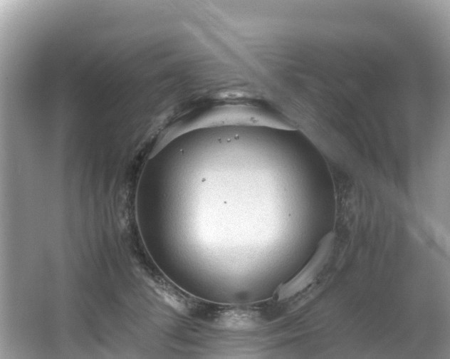 X0000065240708200602211213