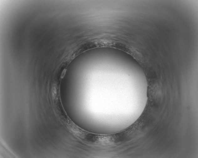 X0000065240709200602211213