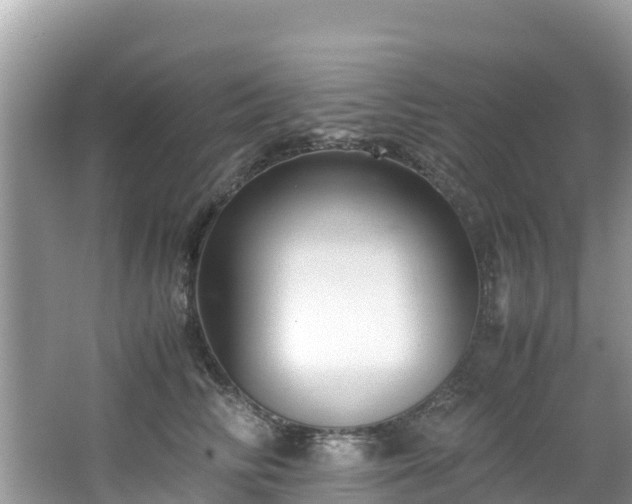 X0000065240710200602211213