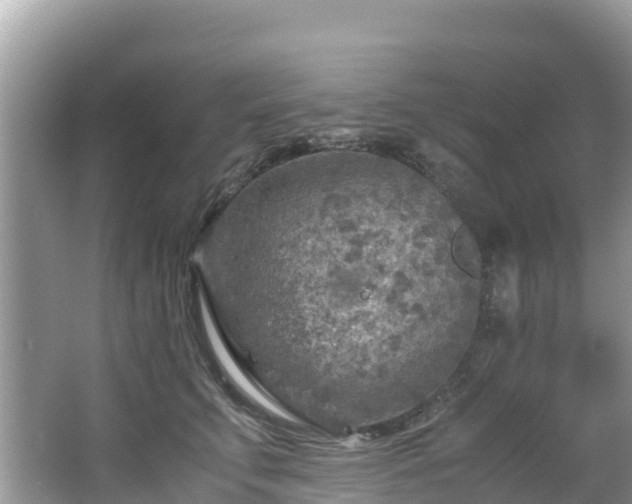 X0000065240711200602211213