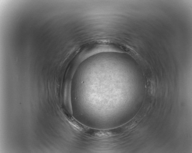 X0000065240712200602211213