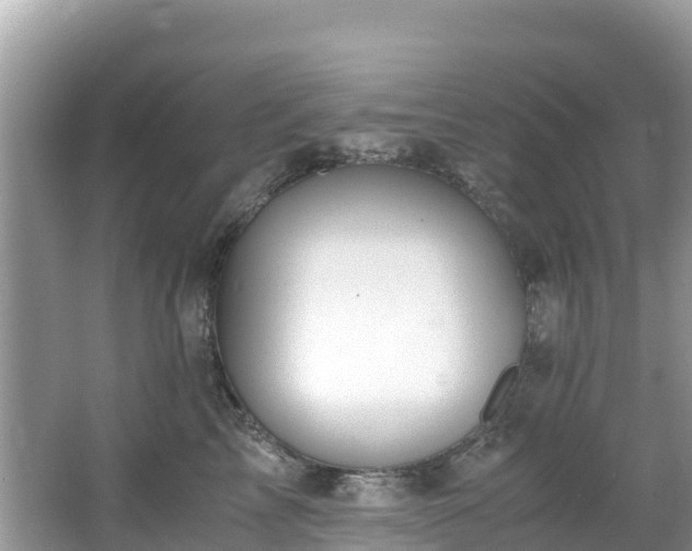 X0000065240713200602211213