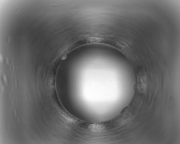 X0000065240714200602211213