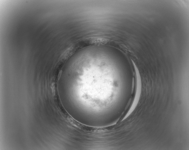 X0000065240716200602211213