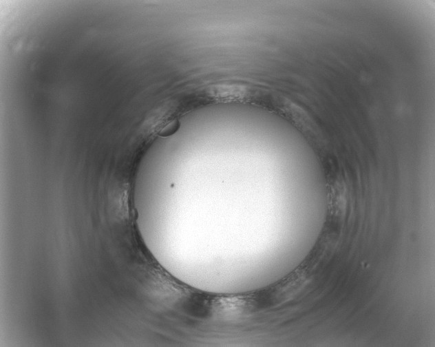 X0000065240717200602211213