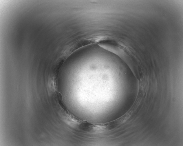 X0000065240718200602211213